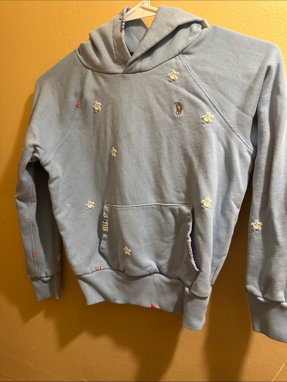 Polo by Ralph Lauren Light Blue Hoodie with Embroidered Pony